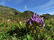 Monte Mincucco (cima 2001 m – croce 1832 m) dai Piani dell’Avaro il 19 agosto 2020 - FOTOGALLERY